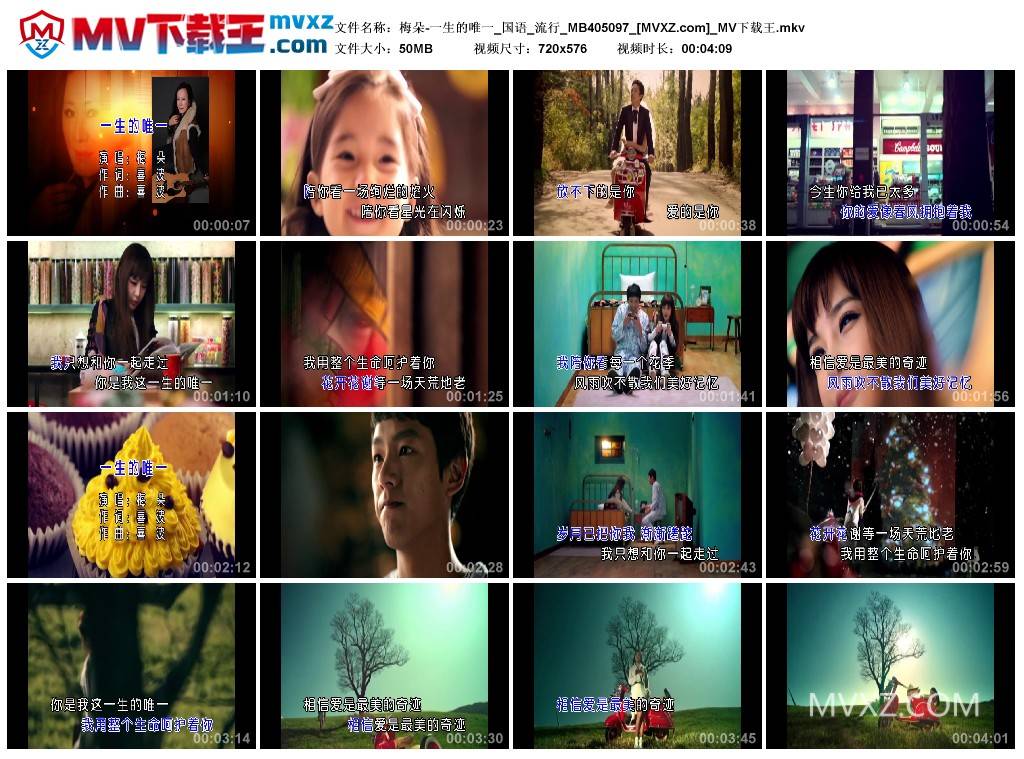 梅朵-一生的唯一_国语_流行_MB405097